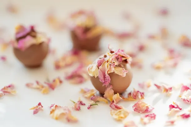 LottoKings Casino Aip Android/iOS